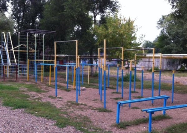 Площадка для воркаута в городе Оренбург №4175 Большая Советская фото